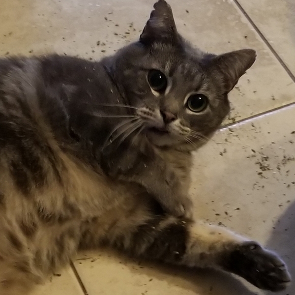 Meet your Posher, Jill - Picture 3 of 3